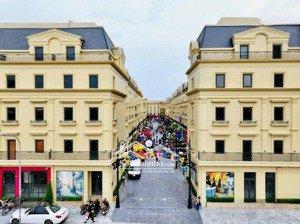 bán bt liền kề rue de charm 128m2 x 5 tầng thang máy, lô góc, full nội thất