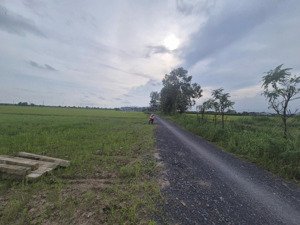 390triệu ngang 5 dài 55m, có 100 thổ , bình tân, gò công tây,tg