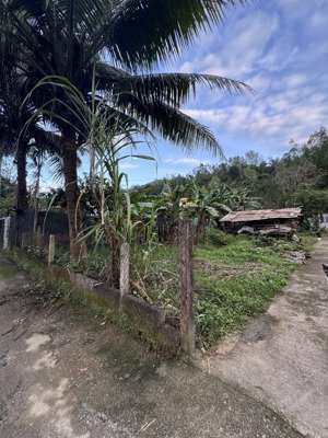 bán đất ở tại thôn đại la (phường hoà khánh nam mới)