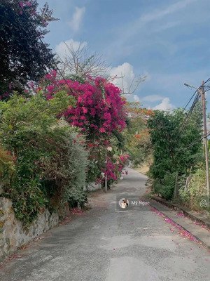 bán đất biệt thự view biển trần phú 467.3m giá 37.5 tỷ p.5 vũng tàu