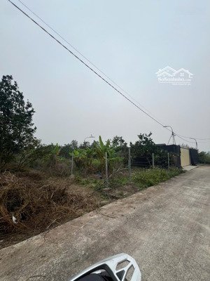 bán 290m2 đất cây nhà vườn 50 năm khu tây làng, giá rẻ nhất khu vực chỉ hơn 5 triệu