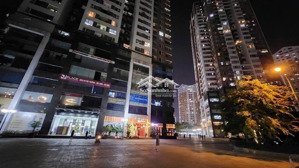 bán căn hộ 160m2 ,n05 trần duy hưng, hoàng đạo thúy