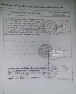 bán kho, nhà xưởng tại đt 831, tuyên bình, vĩnh hưng, long an, 60 tỷ, 15000m2 hot