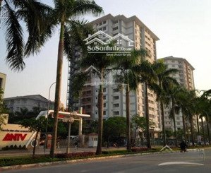 chính chủ cho thuê căn 55m2 full nội thất đẹp tại chung cư 5a lê đức thọ giá 