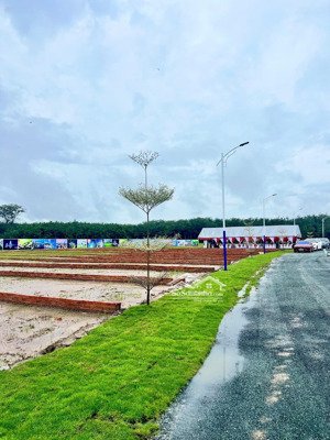 bán đất tại xã minh thắng, chơn thành, bình phước, giá siêu hời 580 triệu, 250 m2