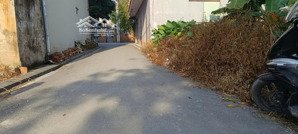 đất cổ miếu xã thư lâm | lô đẹp như bánh chưng mt 10m ô tô tránh ngõ thông tứ phía