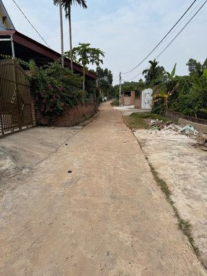 đất đan hội, lục nam, bắc giang. 194m2- mt 5,6,. giá 390tr