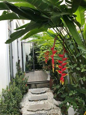 bán gấp bt hoa phượng 05 - 03, hướng đn, 300m2 đất, xd 585.9m2 view vườn hoa, sông rộng, giá 95.5tỷ