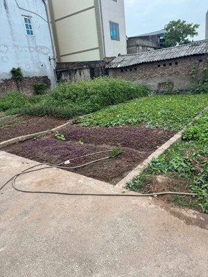 chính chủ cần tiền bán gấp đất gần nút giao cao tốc thường tín giá mềm