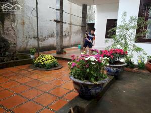 Bán đất 193m2 Kim Ngưu, Hai Bà Trưng, phân lô bán nền đẹp