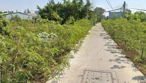 bán đất vườn tại an phú tây, 2,625 tỷ, 175m2, mặt tiền 5m, pháp lý đầy đủ