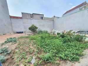 lô đất nở hậu xây căn hộ dịch vụ