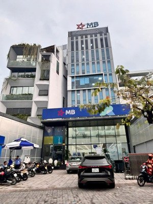 giảm giá bán mặt tiền nguyễn hữu cầu, quận 1 - dt 8x25m - hầm 7 tầng - giá 98 tỷ