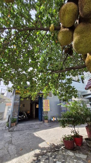 hẻm xe hơi - gần mt lý thường kiệt - giáp quận 10 - 4 tầng btct - 6 phòng - 15tr/th - 6.28 tỷ