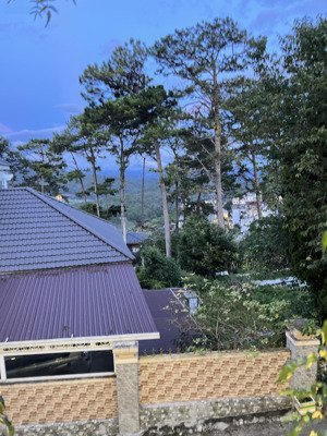 chính chủ bán biệt thự cao cấp đà lạt 2 mặt tiền ô tô - full nội thất- view siêu đẹp- p.xuân hương