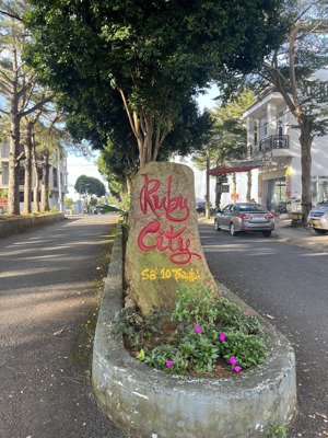 bán biệt thự trần phú, trung tâm bảo lộc