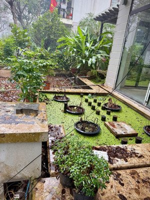 biệt thự marina ecopark 207m2 giá 38 tỷ, rẻ nhất thị trường căn đẹp không có căn thứ 2