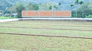 tìm kiếm không gian sống xanh? 400m2 nghỉ dưỡng lương sơn hòa bình