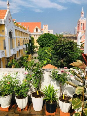 tôi, chính chủ cần bán nhà trung tâm quận 3 vị trí rất đẹp - giá tốt - đầu tư apartment cao cấp