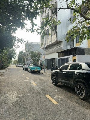 hàng hiếm hướng đông bắc trục thông kẹp công viên