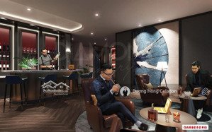 bảng giá tháng 12 từ pkd chủ đầu tư celadon city: diamond alnata