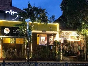 đi nước ngoài !! bán gấp!! bán rẻ mặt tiền nguyễn gia trí - d5 dt: 8x20m - 6 tầng - giá chỉ 65 tỷ