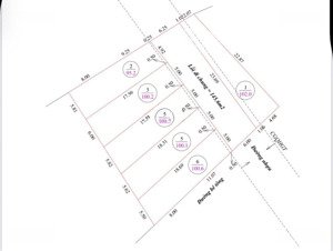 mở bán 6 lô f0 - xã phúc thọ (gần sông lam)! lối 2 ven sông lam (100m)