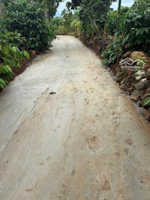 bán đất thổ cư tại thôn hòa trung, xã ea na, krông ana, đắk lắk, 170 triệu, 72.8m2