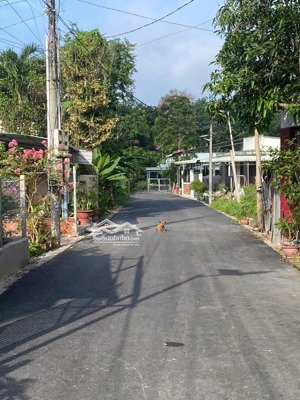 bán đất giá tốt sát kcn cây trường & bàu bàng chỉ 700 triệu, vị trí đẹp, tiềm năng sinh lời cao