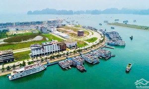 flc tropical hạ long sở hữu một bất động sản vừa giữ tài sản vừa tạo dòng tiền