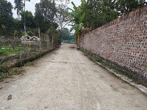 lô đất đẹp siêu rẻ, sẵn vườn và ao tại tiên phong, cách đường đt90, dịch vụ tiện ích vài trăm mét