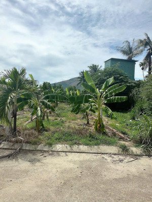 bán đất thổ cư diên toàn giáp diên an - đường ô tô 4m - full thổ cư - sđt 