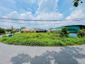 527m2 giá 820tr, chủ ngộp bán nhanh đất phước thạnh, củ chi