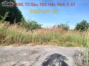 Độc Quyền, 1000M2, Thổ Cư, Hắc Dịch, Phú Mỹ, Vũng Tàu, chỉ 2.6T