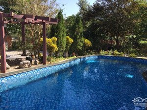 cùng 15,5 tỷ chị chọn một không gian ở hay một không gian sống?