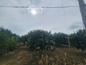 bán gấp 2 lô xã xuân tây, huyện cẩm mỹ, đồng nai - vị trí trung tâm ngã 4 sông ray