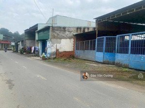 bán đất mặt đường cây da gần chợ tân bình diện tích 152m2 giá chỉ 3ty 950tr