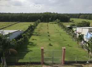 chỉ 9 tỷ x - sở hữu 2100m2 - đất củ chi - mặt tiền nhựa xe tải thông - qh kdc hiện hữu