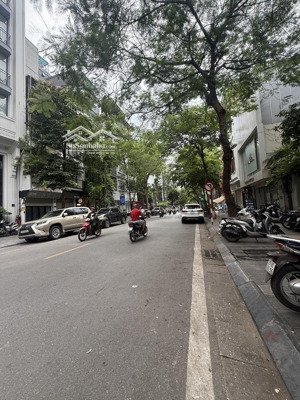 chính chủ cần bán gấp mp tô hiến thành, sđcc, 270, mt 15m, kd, cho thuê đa dạng, vị trí đắc địa