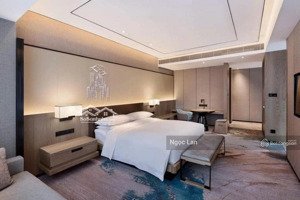 siêu nhà đẹp quận hoàn kiếm 40 m x 5 tầng 7,9 tỷ sổ đỏ nét căng full 100 m ra mặt phố bạch đằng