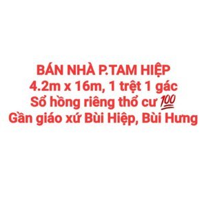 BÁN NHÀ TAM HIỆP, 1 TRỆT 1 GÁC, SỔ HỒNG THỔ CƯ, GẦN GIÁO XỨ BÙI HIỆP