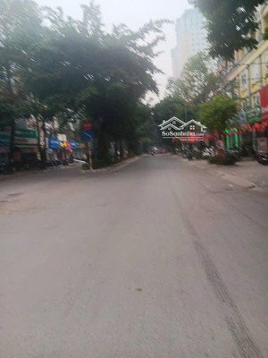 phân lô xa la gara ô tô trục kinh doanh sầm uất, 50m2, 5t, hơn 19 tỷ.