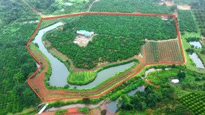 siêu phẩm gần 4.1 hecta ôm suối bao quanh đất bằng như sân nguồn thu mạnh