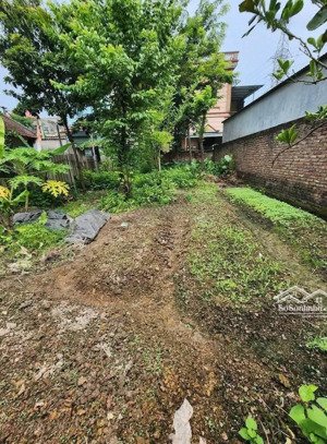 bán mảnh đất 138 m2 tại đình vỹ, yên thường, gia lâm