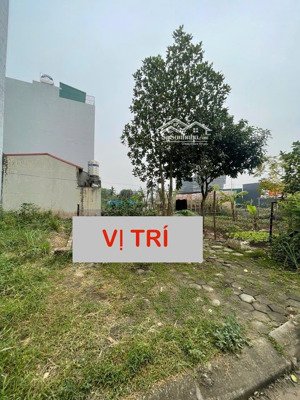 bán lô dịch vụ hàng đẹp - vị trí hiếm rất phù hợp đầu tư hoặc giữ tiền dài hạn