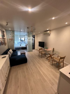 bán gấp căn hộ 1pn dự án brg hillton diện tích 48m2 sử dụng. full nội thất