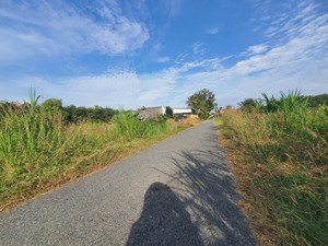 bán đất 530m2 tại hiệp thạnh, gò dầu, tây ninh, giá 1,2 tỷ