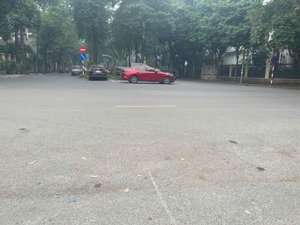 cặp biệt thự đôi độc bản vip nhất giữa lòng bán đảo-đường đôi thênh thang- không gian xanh lý tưởng