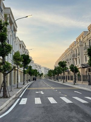 biệt thự song lập rẻ nhất đảo vua gần công viên,trường học,vincom vinhomes vũ yên-hải phòng