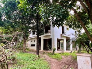 bán biệt thự vườn tùng ecopark, văn giang, 95 tỷ, 500 m2, xây thô 3 tầng, sổ đỏ cc.